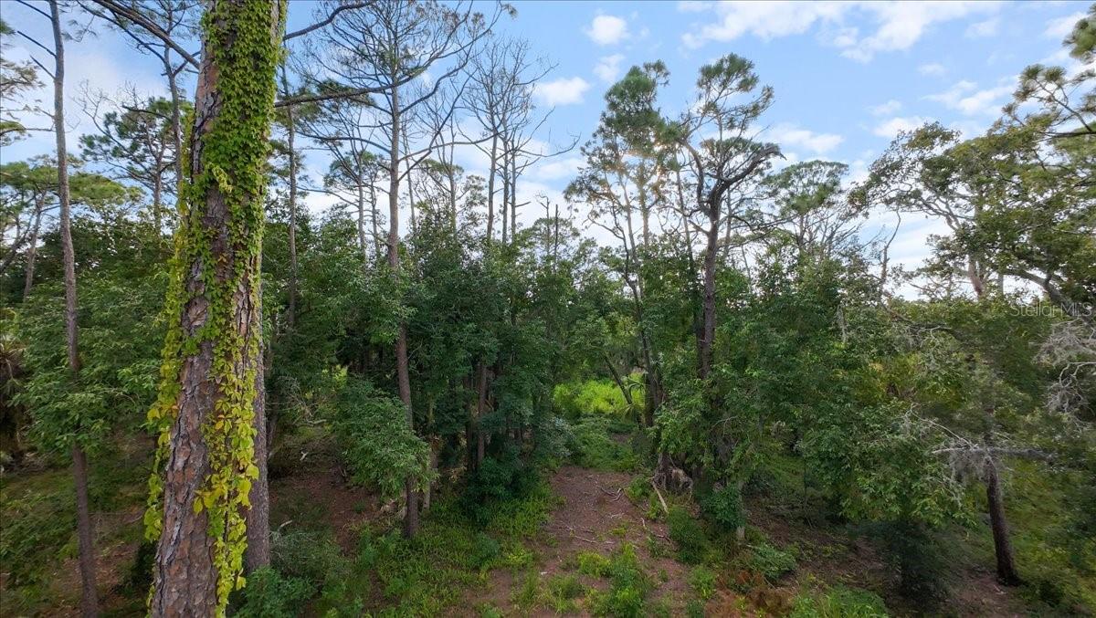 ACREAGE & UNREC - Land