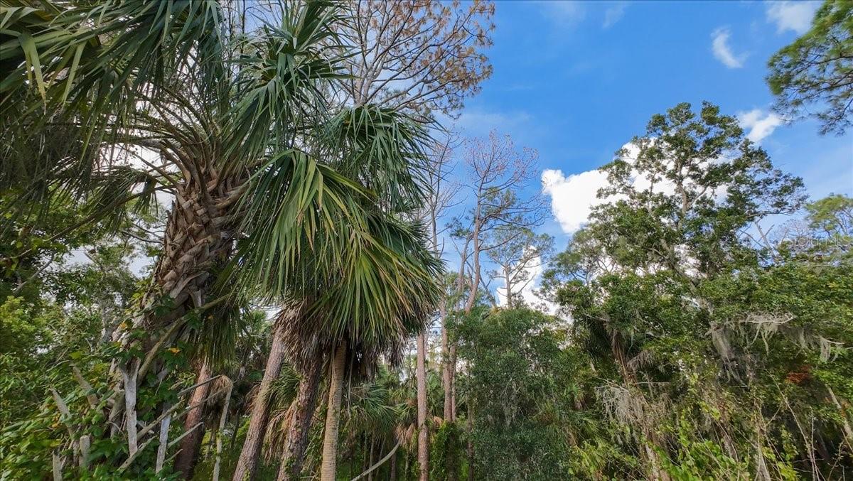 ACREAGE & UNREC - Land