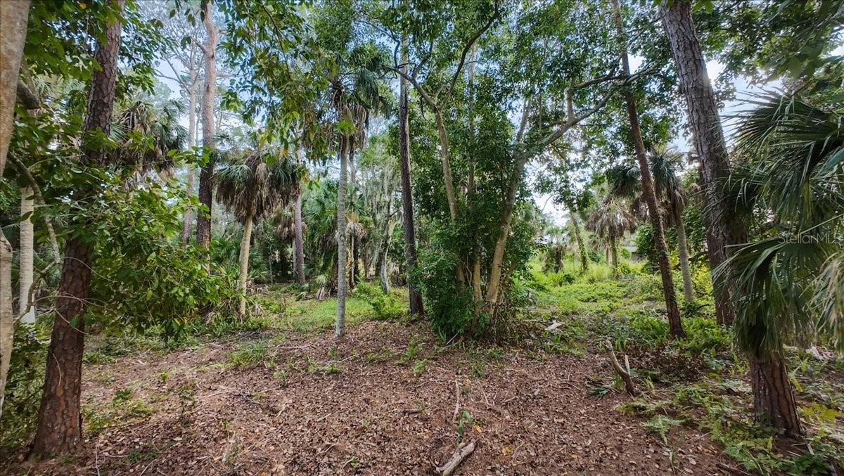 ACREAGE & UNREC - Land