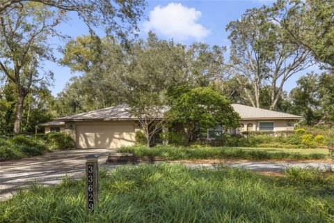 A home in EUSTIS