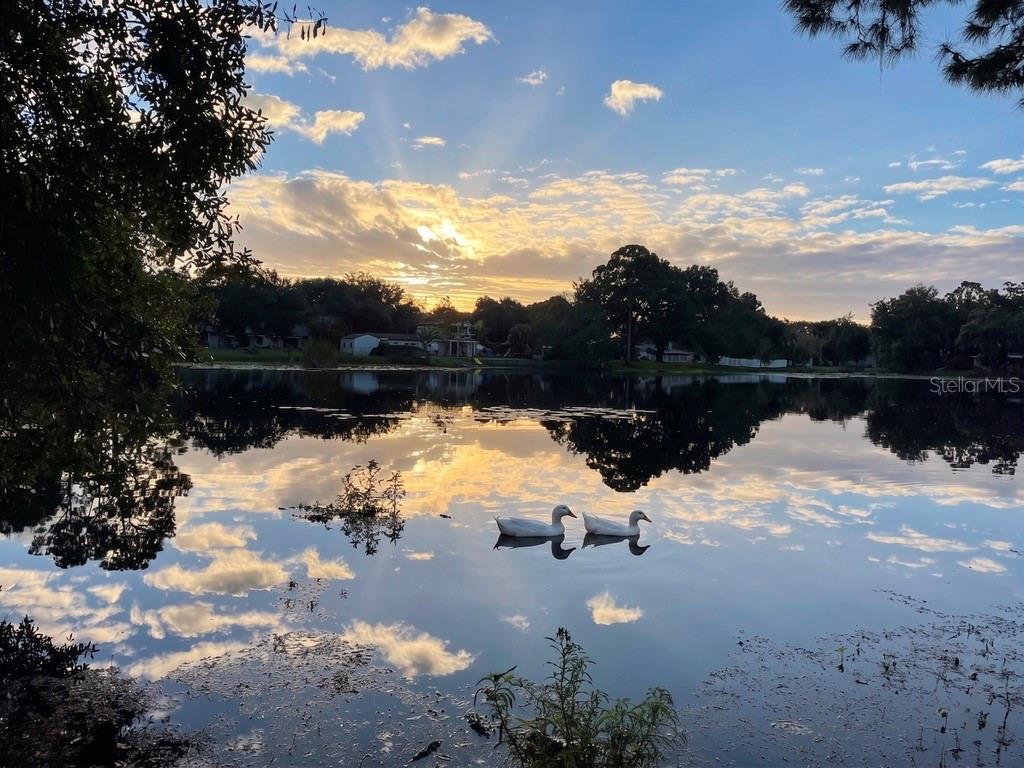 LAKE RIDGE REV - Residential