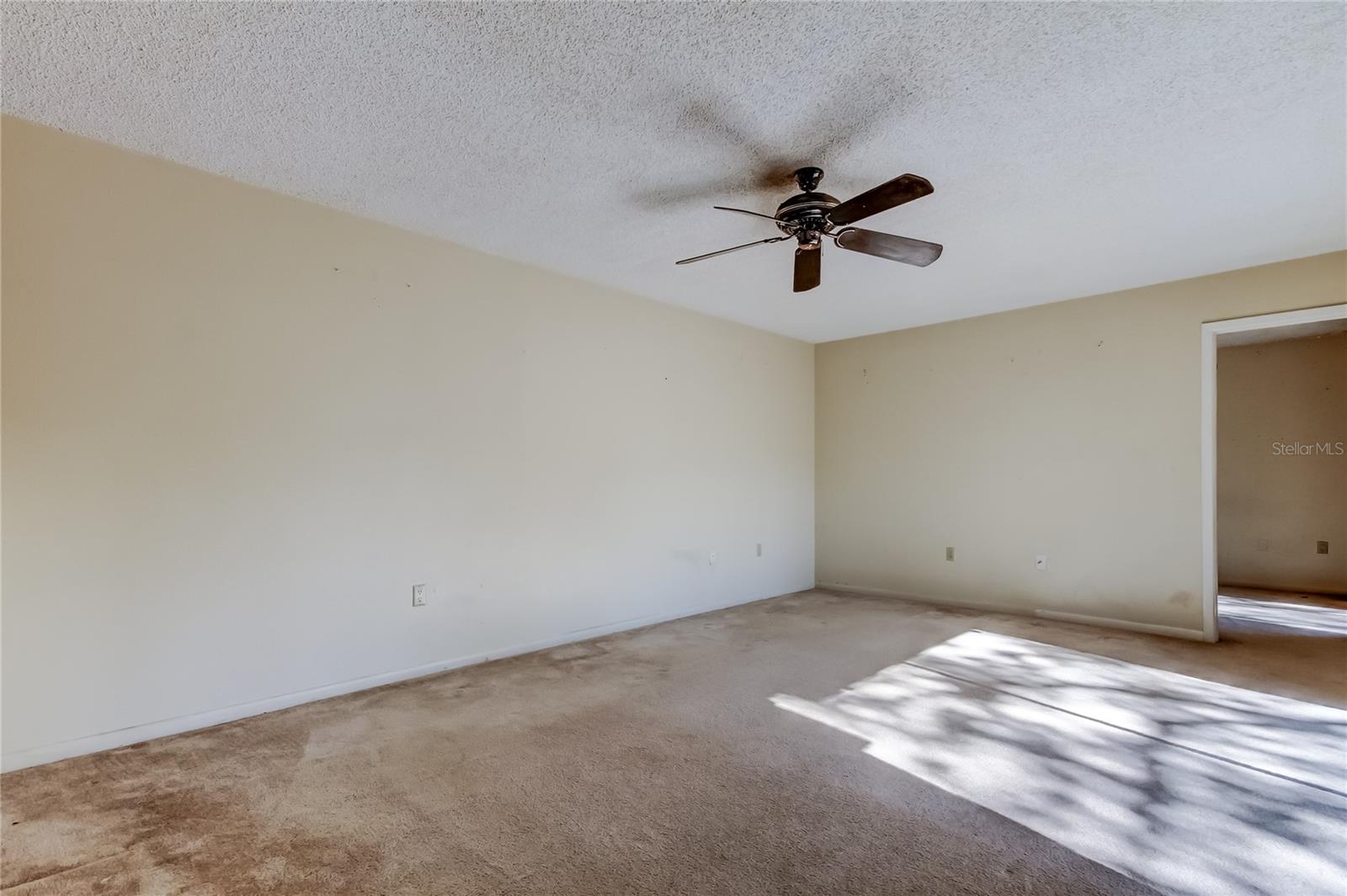 WEDGE WOOD OF PALM HARBOR - Residential