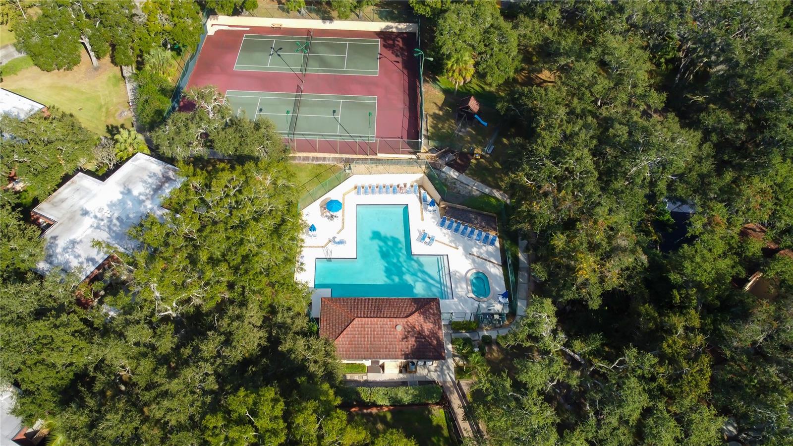 WEDGE WOOD OF PALM HARBOR - Residential