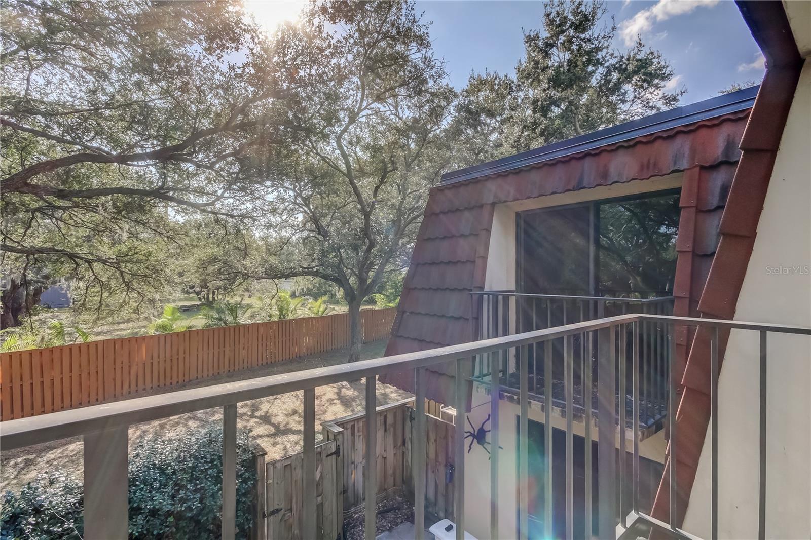 WEDGE WOOD OF PALM HARBOR - Residential