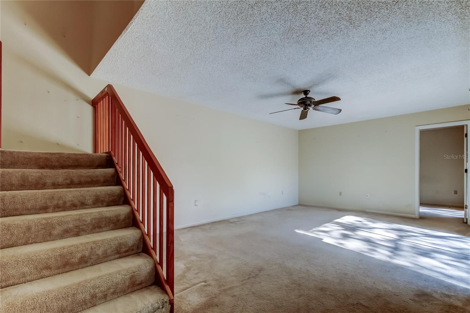 WEDGE WOOD OF PALM HARBOR - Residential