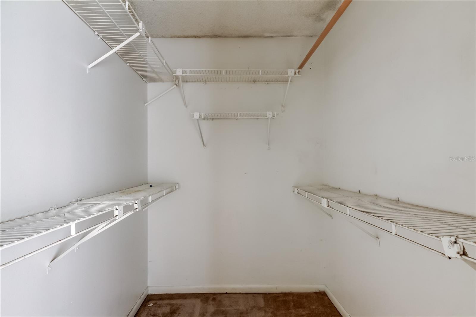 WEDGE WOOD OF PALM HARBOR - Residential