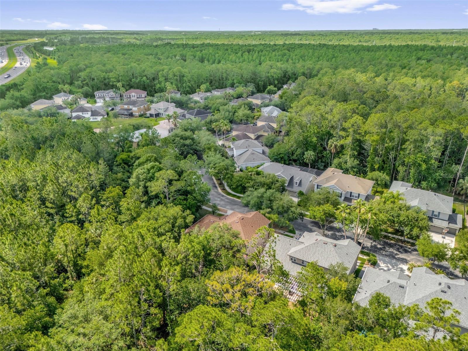 BUCKINGHAM AT TAMPA PALMS - Residential