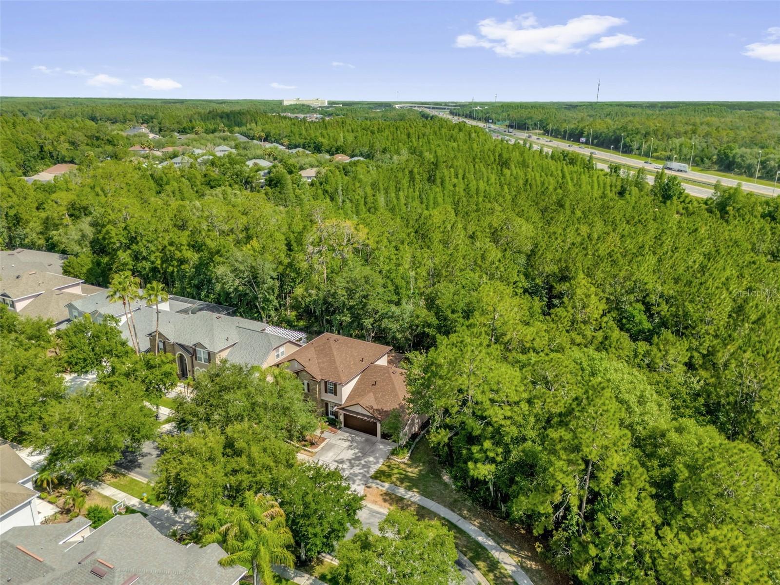 BUCKINGHAM AT TAMPA PALMS - Residential