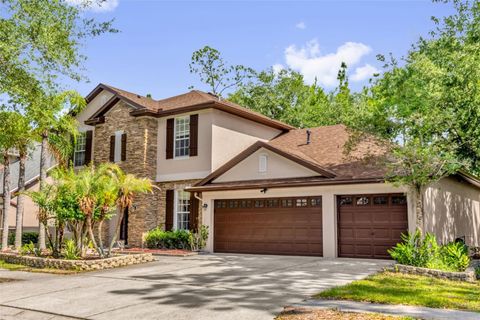 Photo of 16117 Colchester Palms Drive, Tampa, FL 33647 (MLS # O6409862)