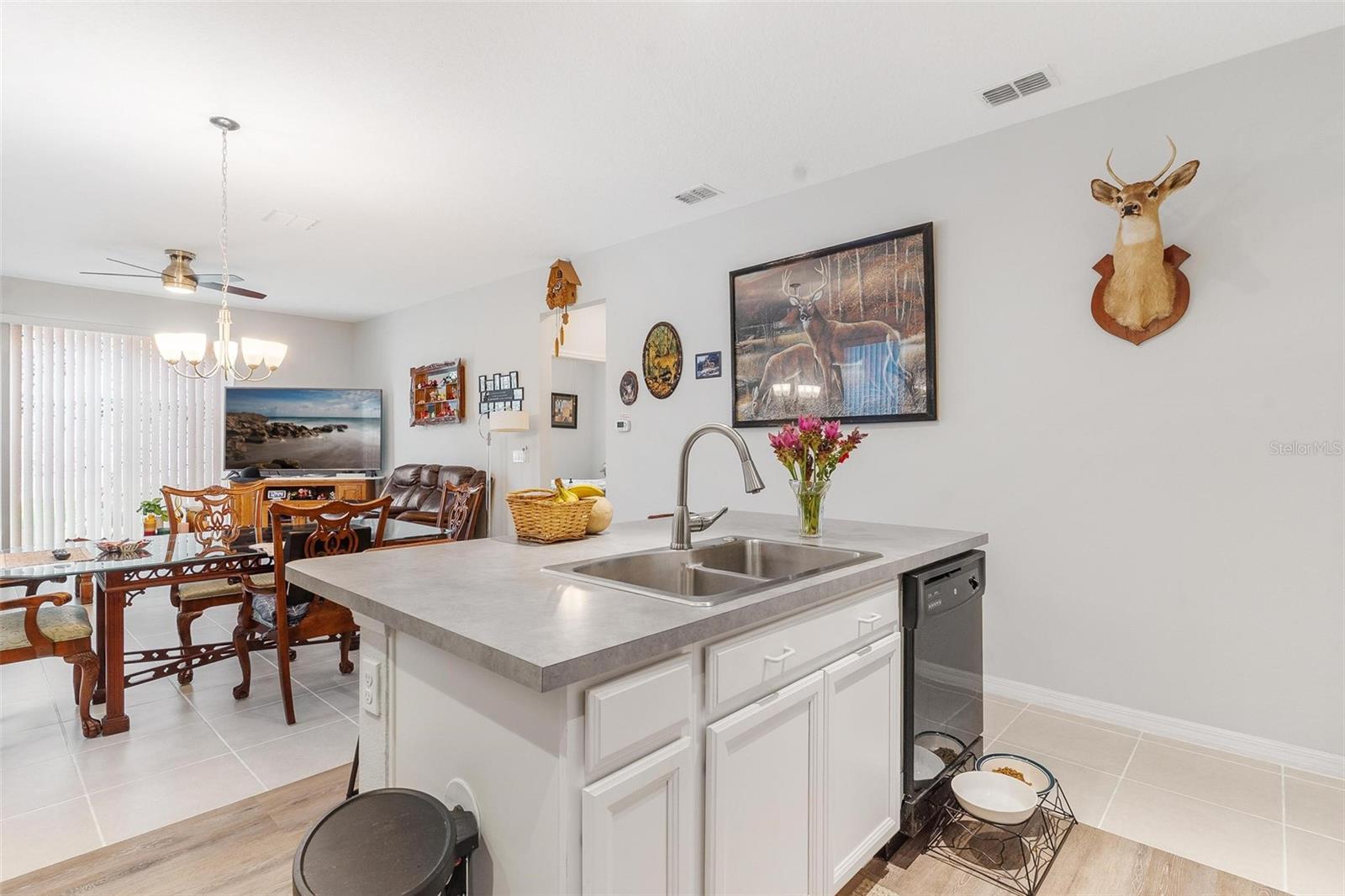 MIRROR LAKE VILLAGE - Residential