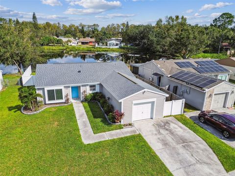 A home in TAMPA