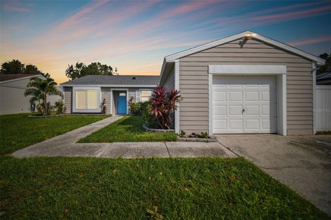 A home in TAMPA