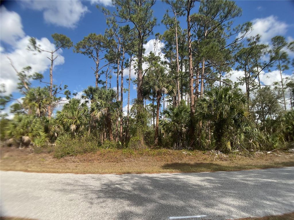 Photo of 18126 Dillon Avenue, Port Charlotte, FL 33954 (MLS # C7505159)