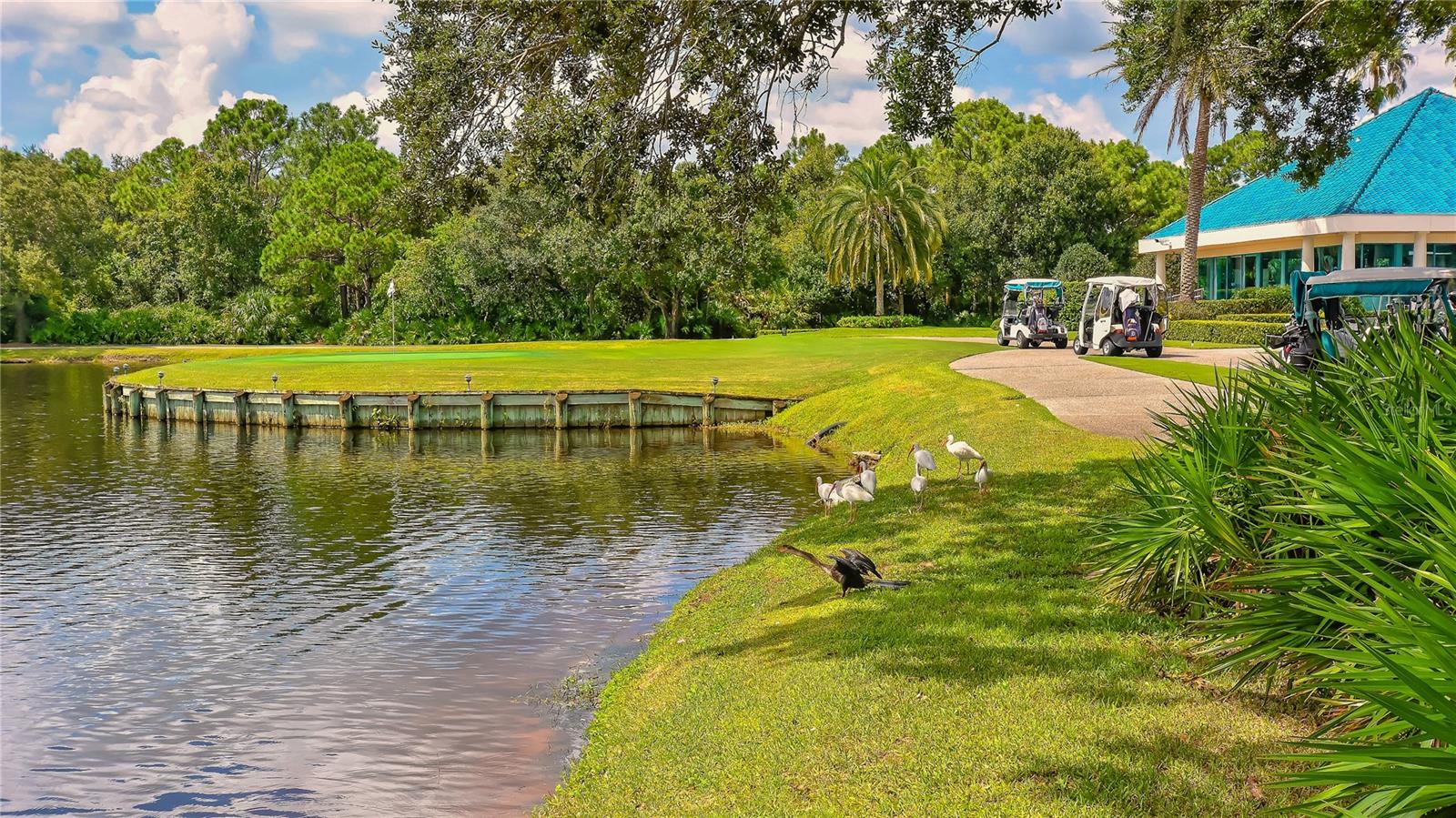 UNIVERSITY PARK - Residential