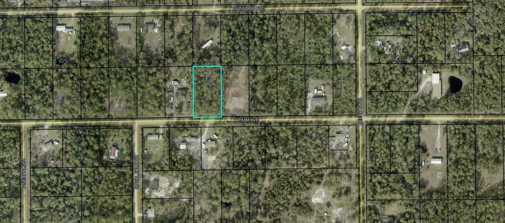 Photo of 5638 Palm Avenue, Bunnell, FL 32110 (MLS # FC314601)