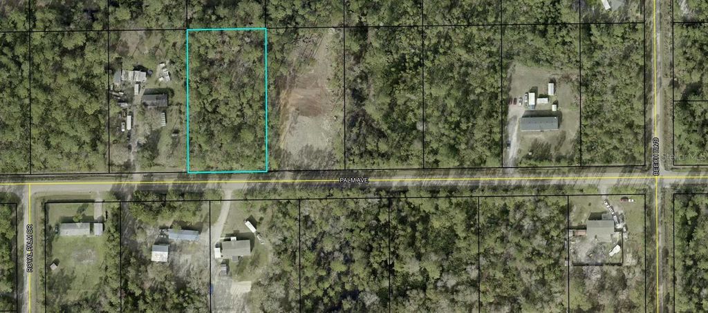 Photo of 5638 Palm Avenue, Bunnell, FL 32110 (MLS # FC314601)