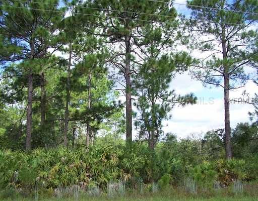 ROYAL TRAILS UNIT #1 - Land