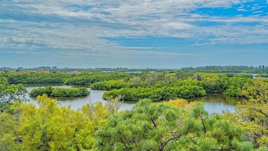 BEAUTIFUL FULL WATER VIEWS OF NORTH CREEK, SARASOTA BAY, AND THE GULF! Watch the eagles and osprey fish and enjoy truly stunning sunsets from the balcony of this condo with 3 bedrooms, 3 full baths and a formal dining room/den. With this condo you have found a best-priced gem in Meridian at The Oaks Preserve to enjoy all the Gulf Coast has to offer. Take the private elevator to the sixth floor and explore this spacious unit with stunning maple wood floors throughout. The great room has high ceilings and sliding doors to the large, screened balcony that offers gorgeous water views in the day, and breath-taking sunsets in the evening. The open kitchen features a pantry, and a breakfast bar.  The adjoining dining room gives you room to host formal meals or could be used as a den. The master suite has a door that opens to the balcony, two walk-in closets and an en-suite master bath with soaking tub, a walk-in shower, a good number of cabinets, mirrors and counter space.  The 2nd bedroom is en-suite, and the third is spacious with beautiful preserve views.  A nice option for those who want to work at home. Want to get outside and enjoy the Florida sunshine?  You can walk to the Meridian residents-only pool and spa. Here you will also find an outdoor kitchen and workout room. As members of The Oaks Club, you also can take advantage of all it offers, two 18-hole championship golf courses, 12 HAR-TRU tennis courts maintained to tournament standards, 4 of which are lighted, bocce and pickle ball courts, a junior Olympic community pool, and a wide variety of dining, recreational and social offerings. GOLF or SOCIAL Membership is required and available immediately with homeownership.