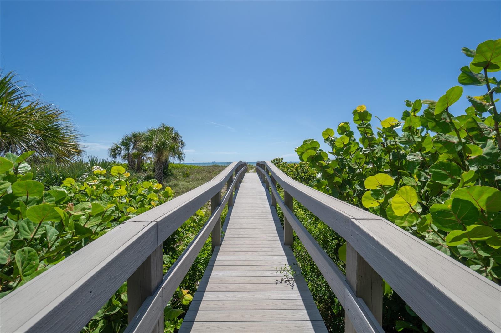 MAJESTIC SEAS CONDO - Residential