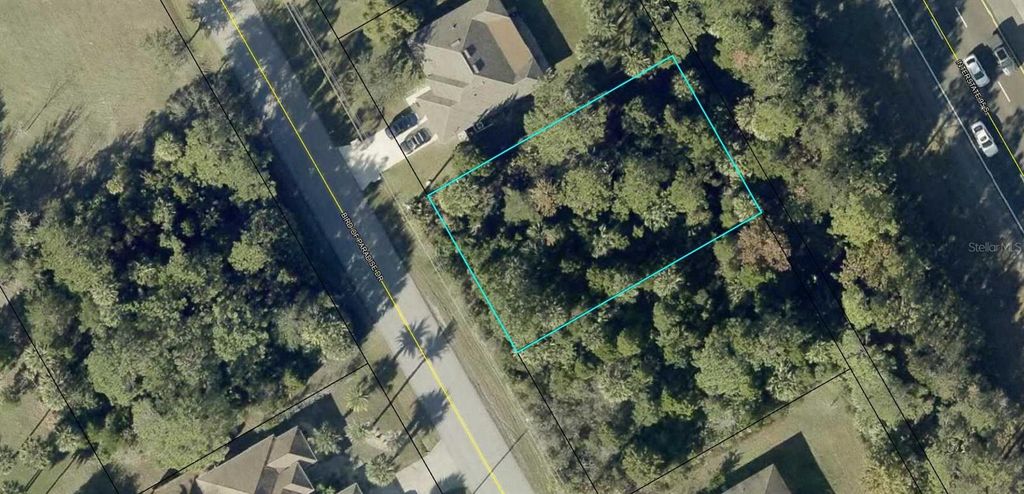 Photo of 176 Bird Of Paradise Drive, Palm Coast, FL 32137 (MLS # FC318368)