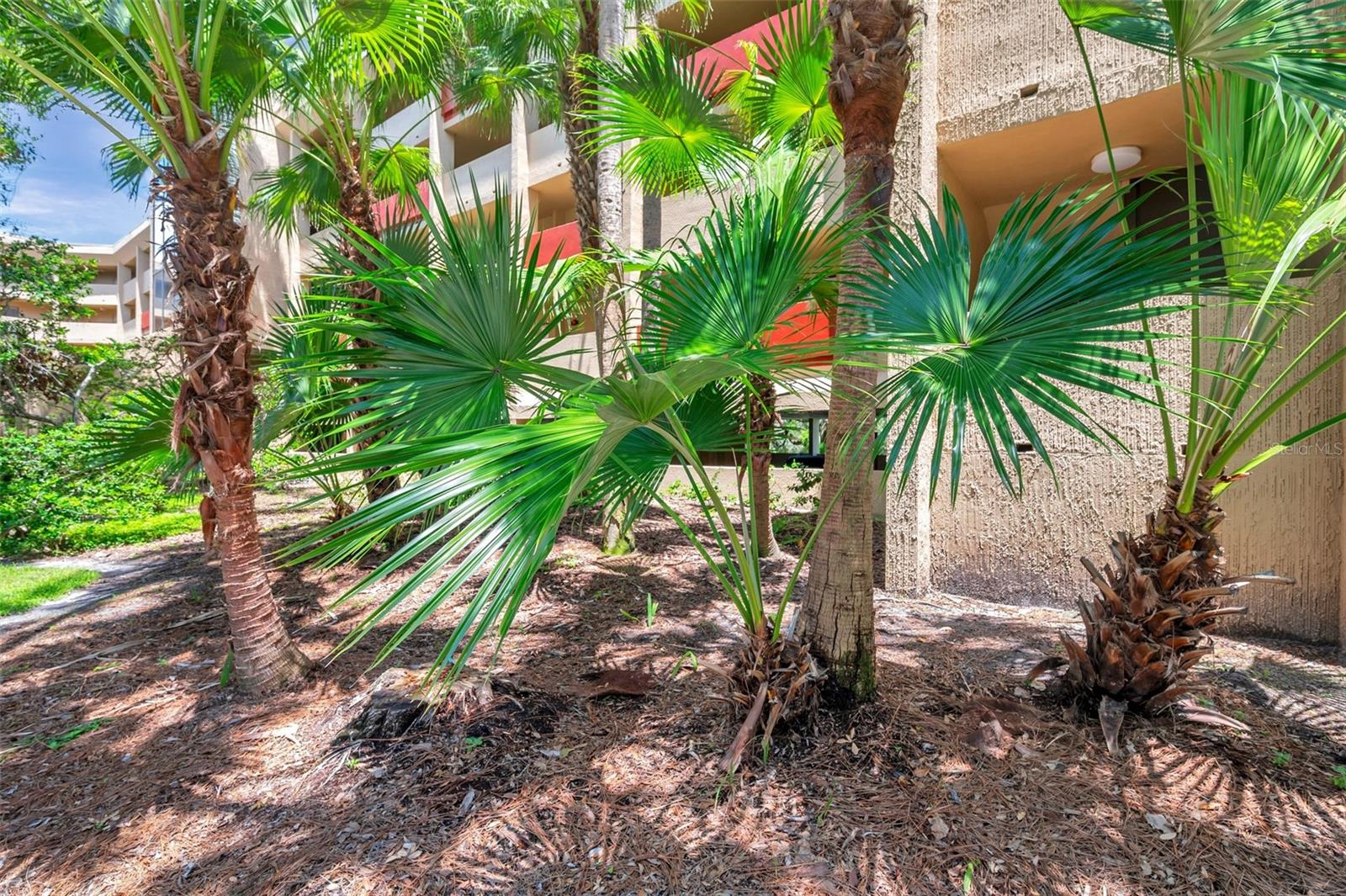 3062 EASTLAND BOULEVARD 311