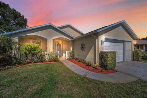 Photo of 11427 Turtle Dove Place, New Port Richey, FL 34654 (MLS # TB8349353)