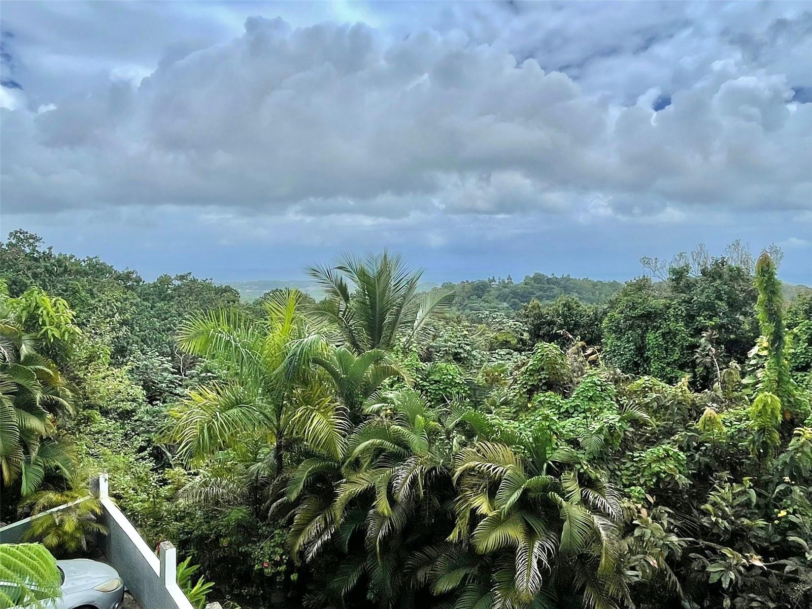 BARRIO SABANA - Residential