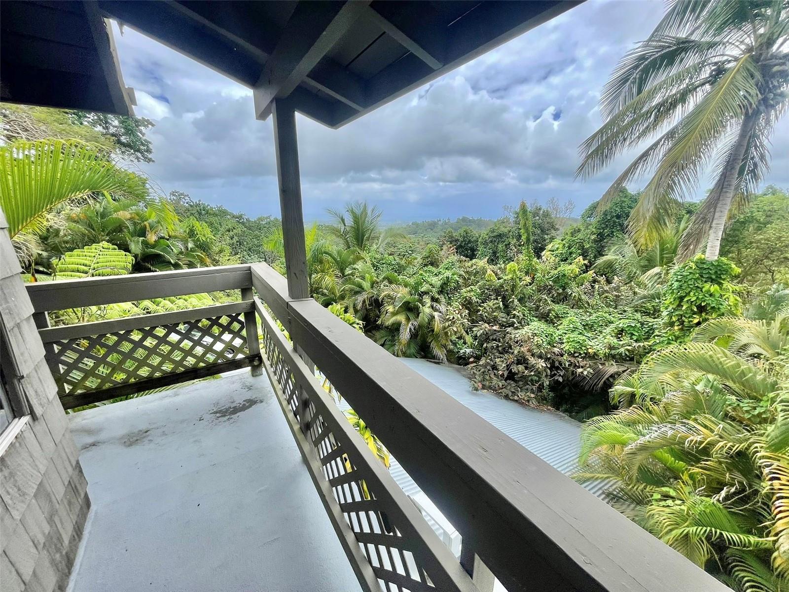 BARRIO SABANA - Residential