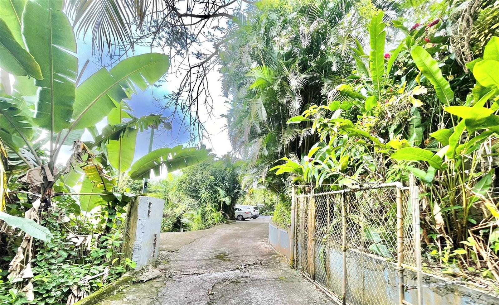 BARRIO SABANA - Residential