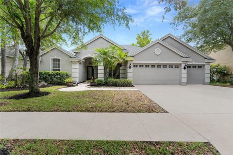 A home in TAMPA