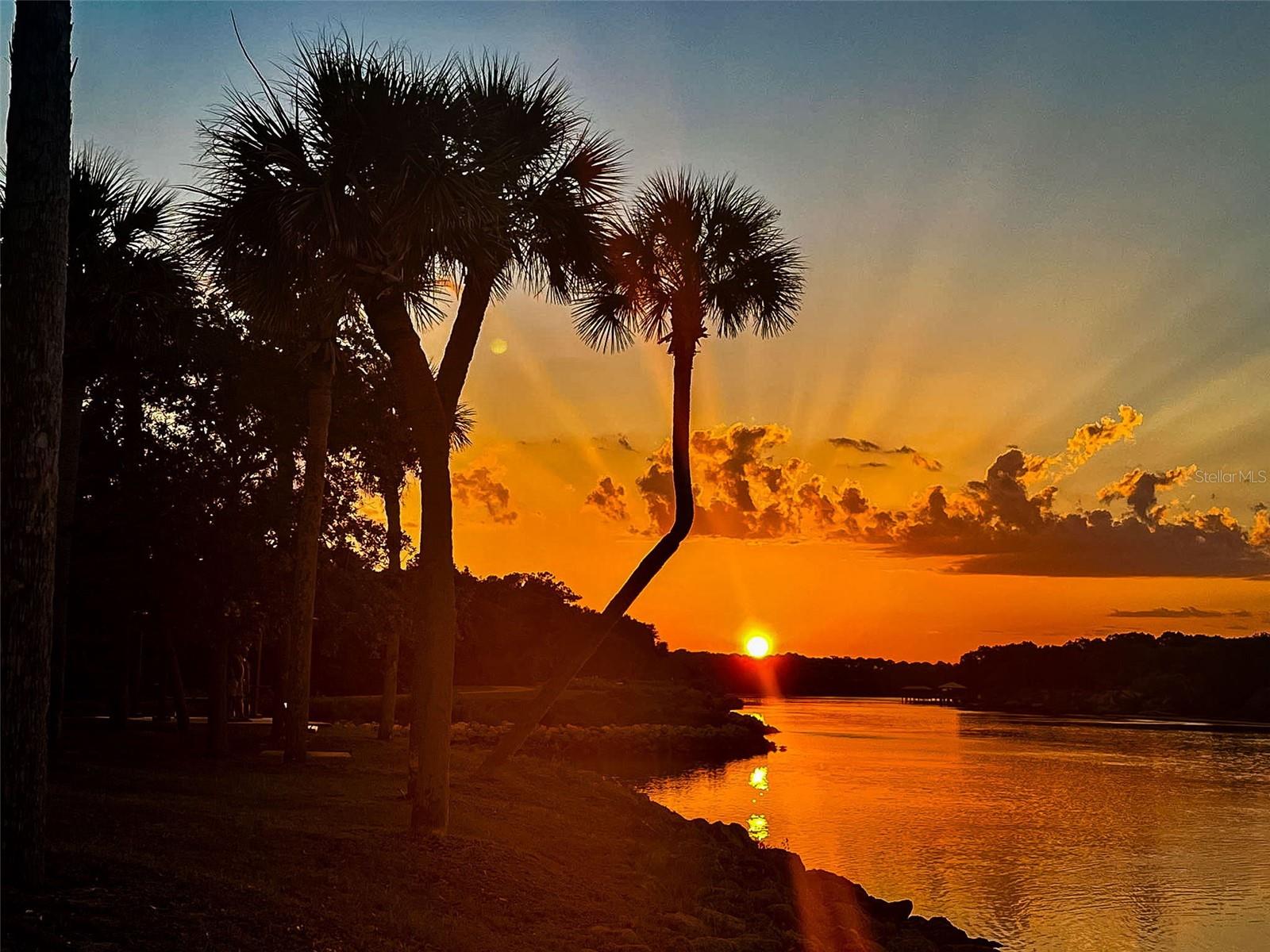 PALM COAST SEC 03 PALM HARBOR OFFICE PARK - Residential