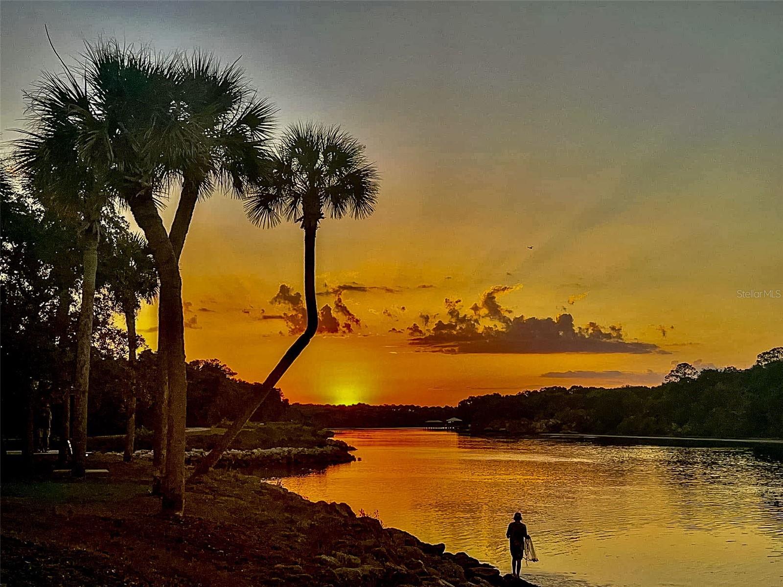 PALM COAST SEC 03 PALM HARBOR OFFICE PARK - Residential