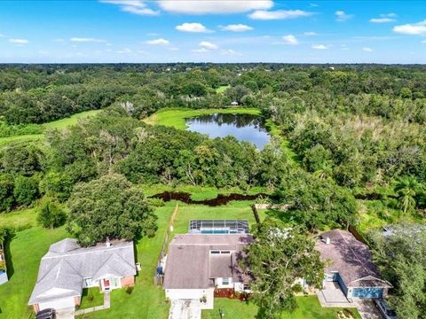 Photo of 631 Stillview Circle, Brandon, FL 33510 (MLS # TB8419862)