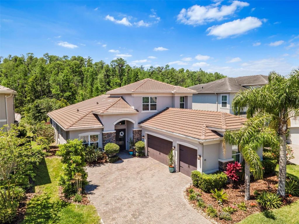 Photo of 31050 Spruceberry Court, Wesley Chapel, FL 33543 (MLS # TB8378077)