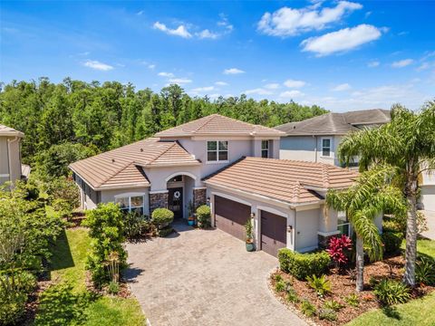 Photo of 31050 Spruceberry Court, Wesley Chapel, FL 33543 (MLS # TB8378077)