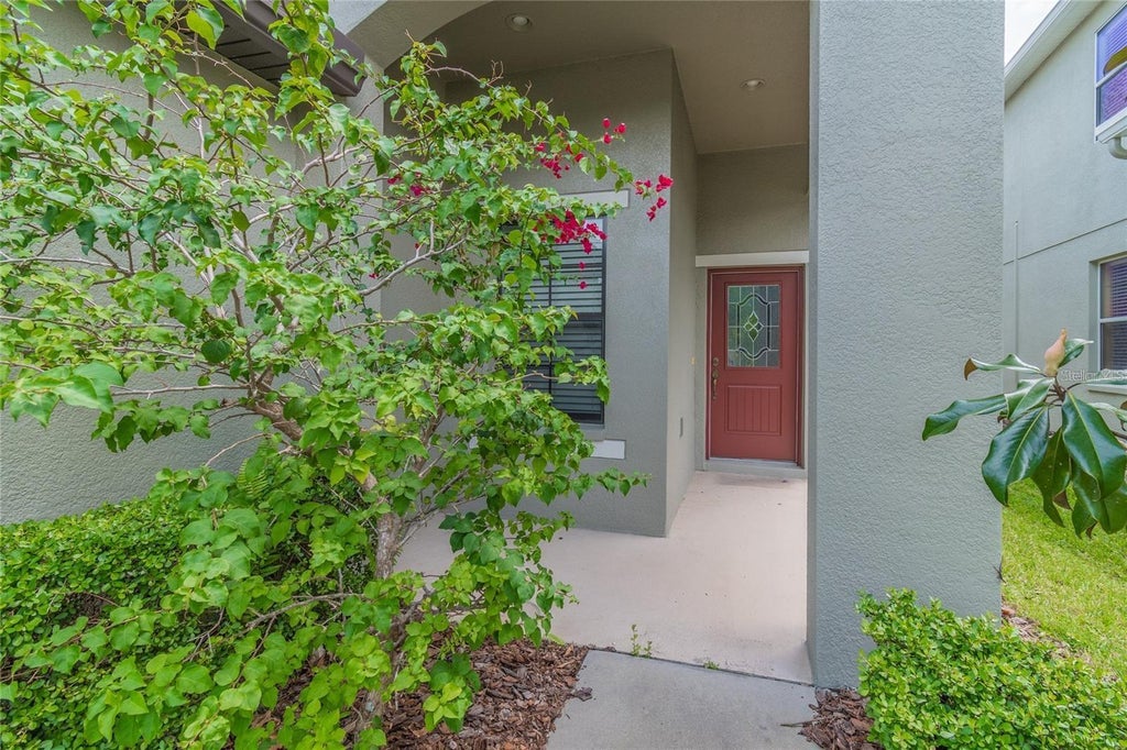 Photo of 7815 Tuscany Woods Drive, Tampa, FL 33647 (MLS # TB8557091)