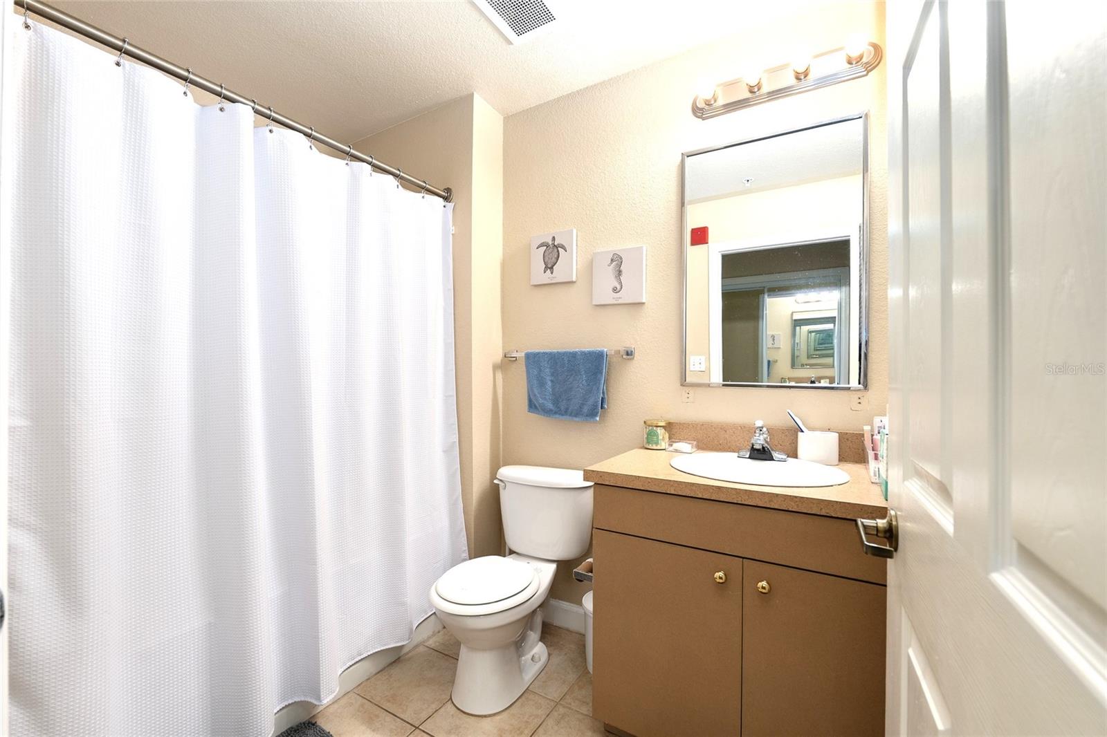 OXFORD TERRACE - Residential