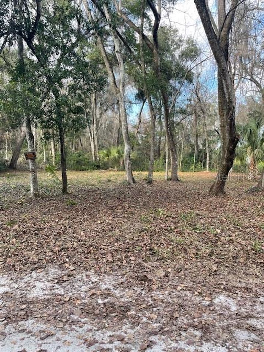 Quite, country .26 acre cleared lot, with gorgous trees. Close to Gainesville and Ocala. Great investment opportunity, mobile homes permitted.