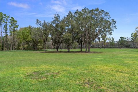 Tiny photo for 2870 NW 87th Avenue, Wildwood, FL 34785 (MLS # OM721309)