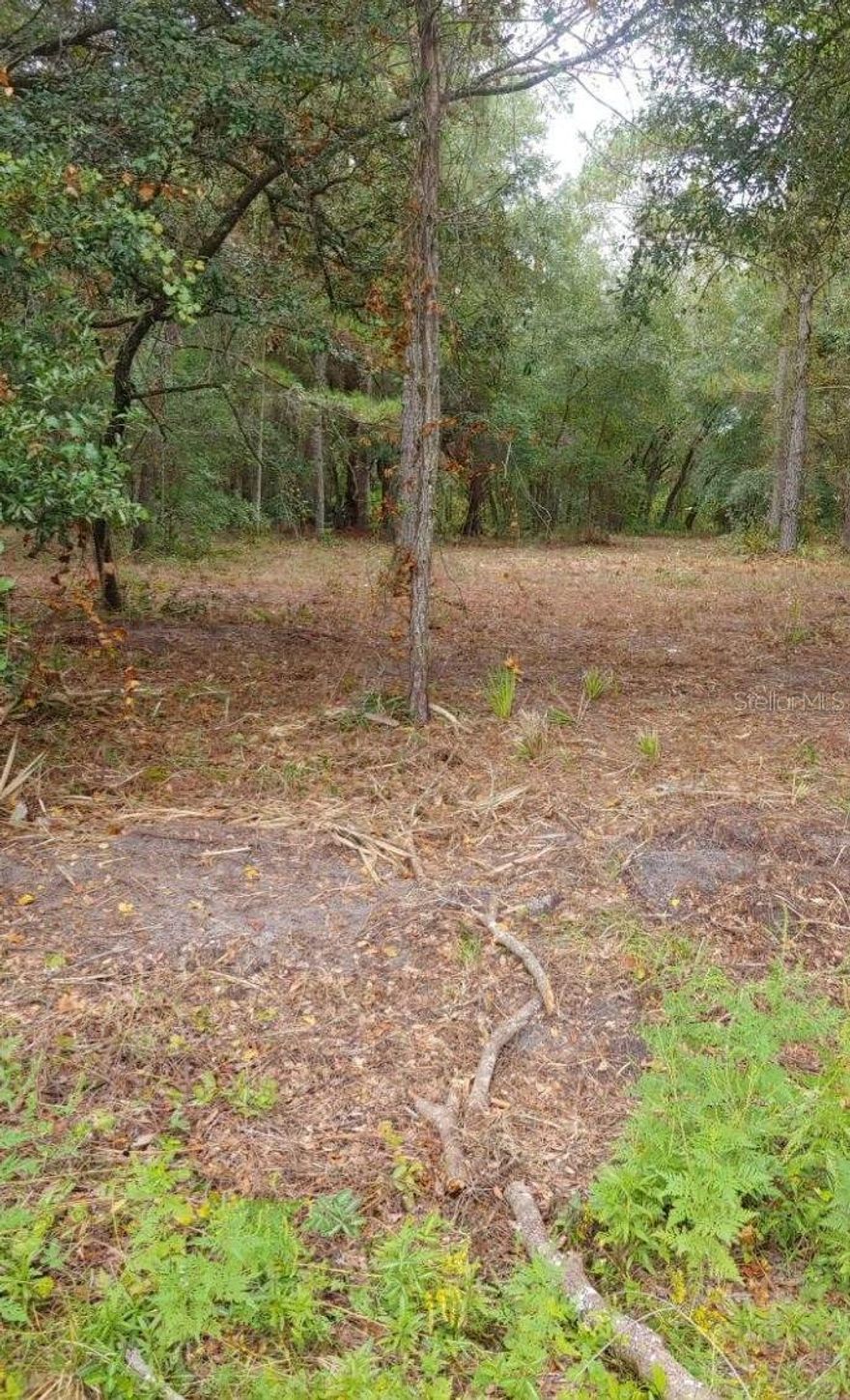 6.17 acres in Eureka, road frontage on 2 sides. On a paved road, perfect for your mini-farm! Possible 2 home sites, very close to Ocklawaha River and stores. Some cleared trails, nicely wooded. ***Seller Terms: $23,550 down, $69,000 first mortgage, $517.50/month, 3 year balloon payment of $69,000. **Next to 16201 NE 148th Terrace Rd.