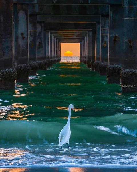 A home in VENICE