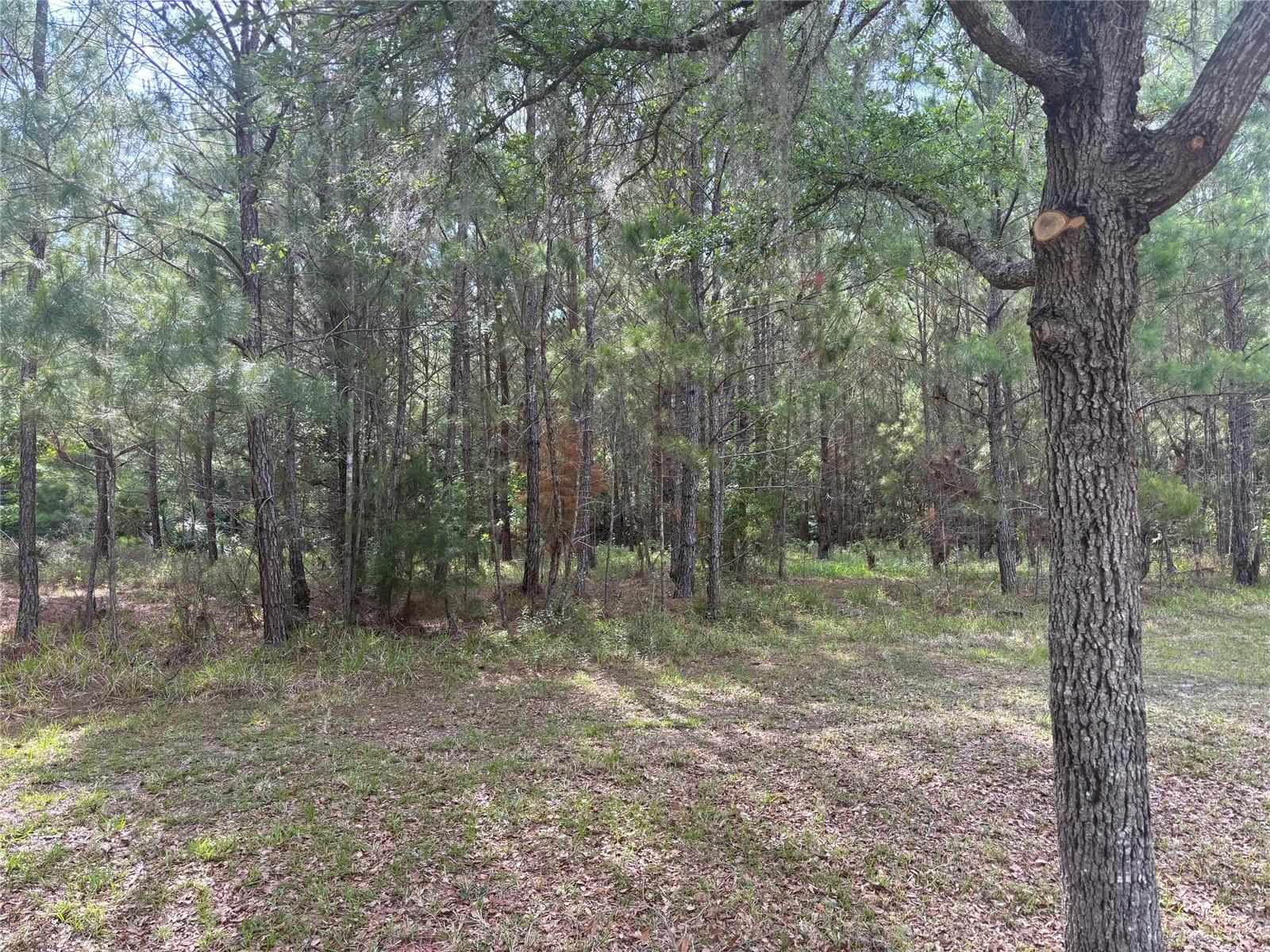 6038 NW 90TH STREET
