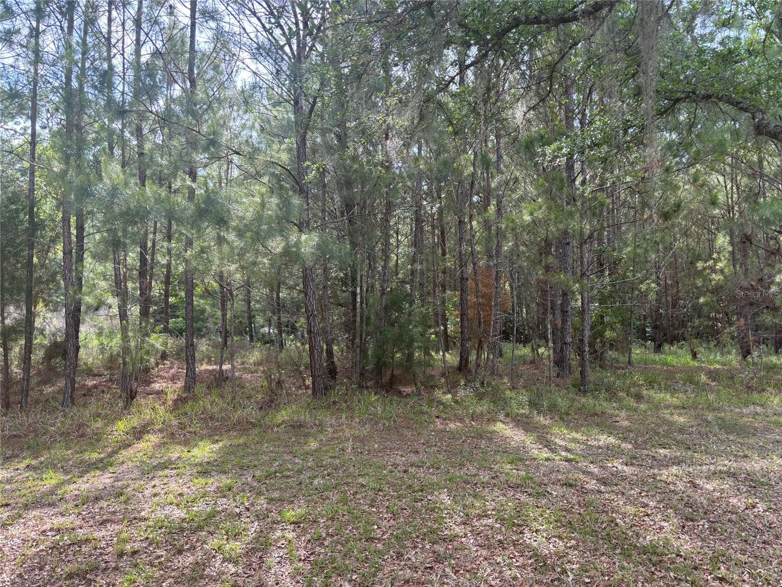 6038 NW 90TH STREET