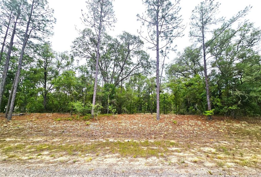 This nearly half-acre (.46) buildable homesite in Citrus Springs presents a prime opportunity for developers, investors, or individuals eager to construct a residence in a thriving community. Nestled among established homes and ongoing construction, the property boasts favorable topography, slightly elevated above the street, which enhances drainage and allows for appealing home placement. With no HOA fees, it is situated in a deed-restricted neighborhood recognized for its well-kept and affordably priced residences. The community provides access to the Withlacoochee State Trail, ideal for biking, hiking, and leisurely strolls, along with amenities such as a public library, a community center for local events, lighted tennis courts, and a park. Residents also benefit from a golf course that includes a restaurant, putting green, and driving range. Conveniently located, the property is a short drive from boating, fishing, and pristine freshwater springs, as well as dining, shopping, healthcare facilities, and a highly rated school system. With the steady growth of Citrus Springs, this property offers a valuable investment opportunity in a vibrant and expanding area.