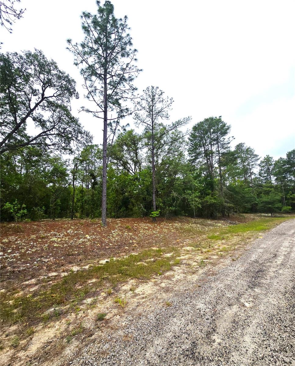 CITRUS SPGS UNIT 19 - Land