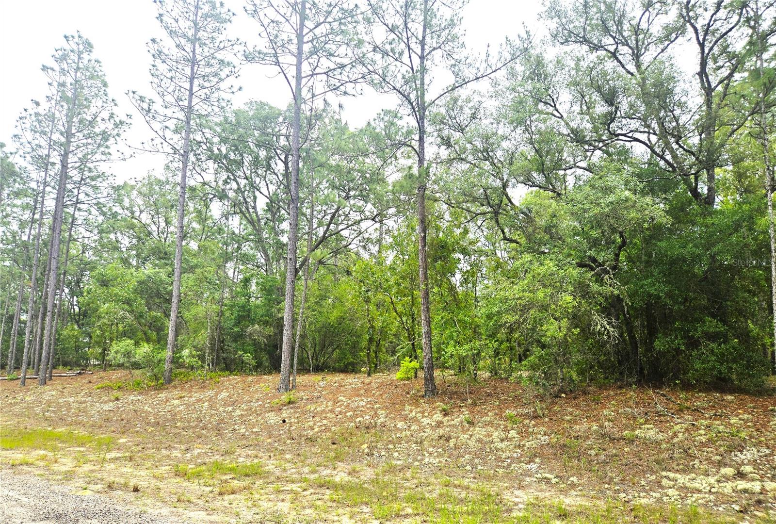 CITRUS SPGS UNIT 19 - Land