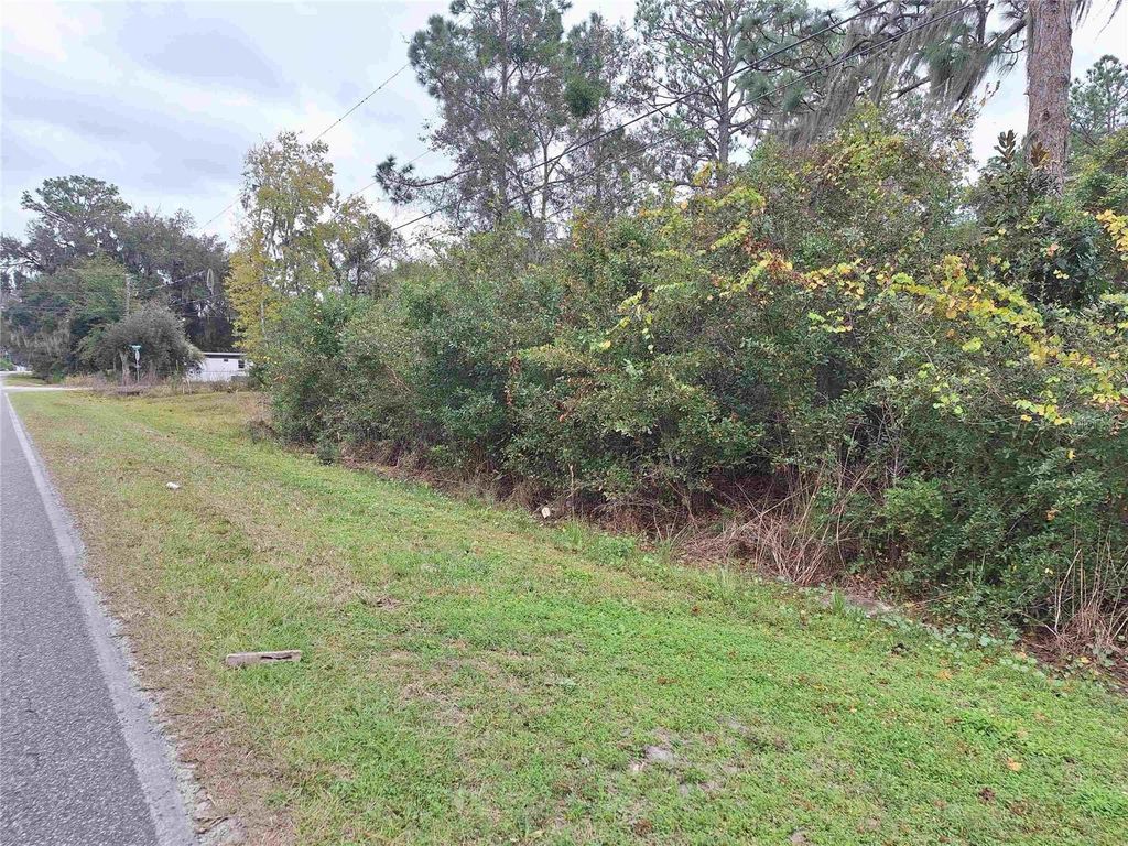 Photo of 203 Crescent Lake Shore Drive, Crescent City, FL 32112 (MLS # FC316488)