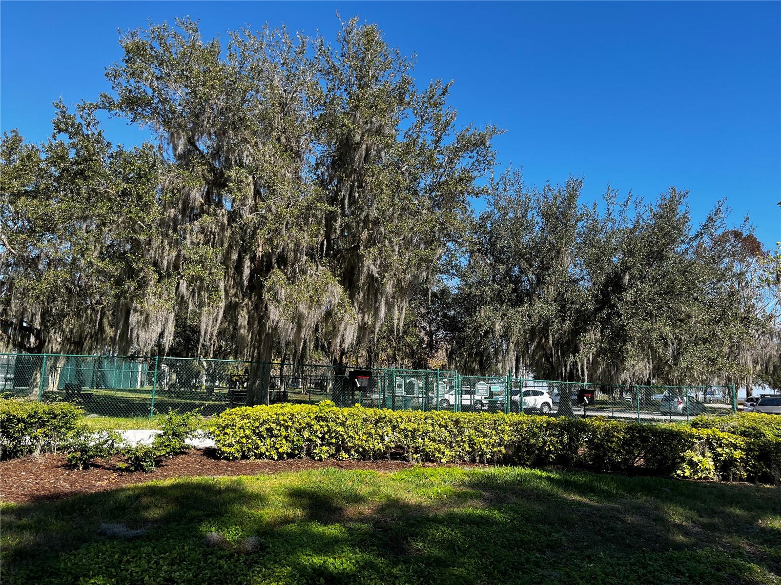 BELLALAGO POD G TOWNHOMES PB 33 PGS 12-16 LOT 54 - Residential Lease