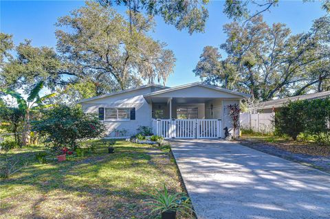 Photo of 8609 N 29th Street, Tampa, FL 33604 (MLS # TB8469663)