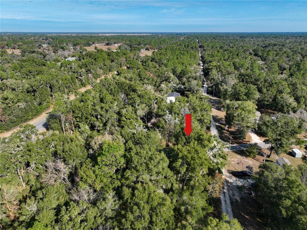 Photo of NE 5th Street, Williston, FL 32696 (MLS # O6365807)